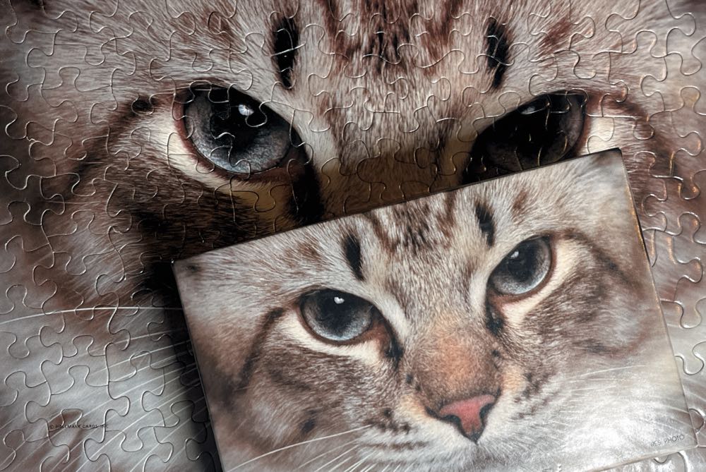 What’s Mew? - Springbok puzzle collectible [Barcode 070000017421] - Main Image 4