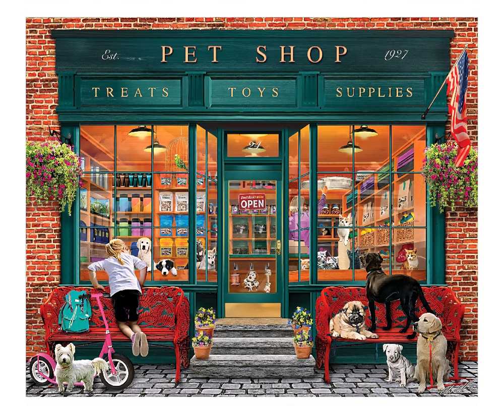 Star Wars Collectors Puzzle