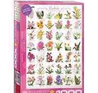 Beautiful Swiss Alps And Wildflowers