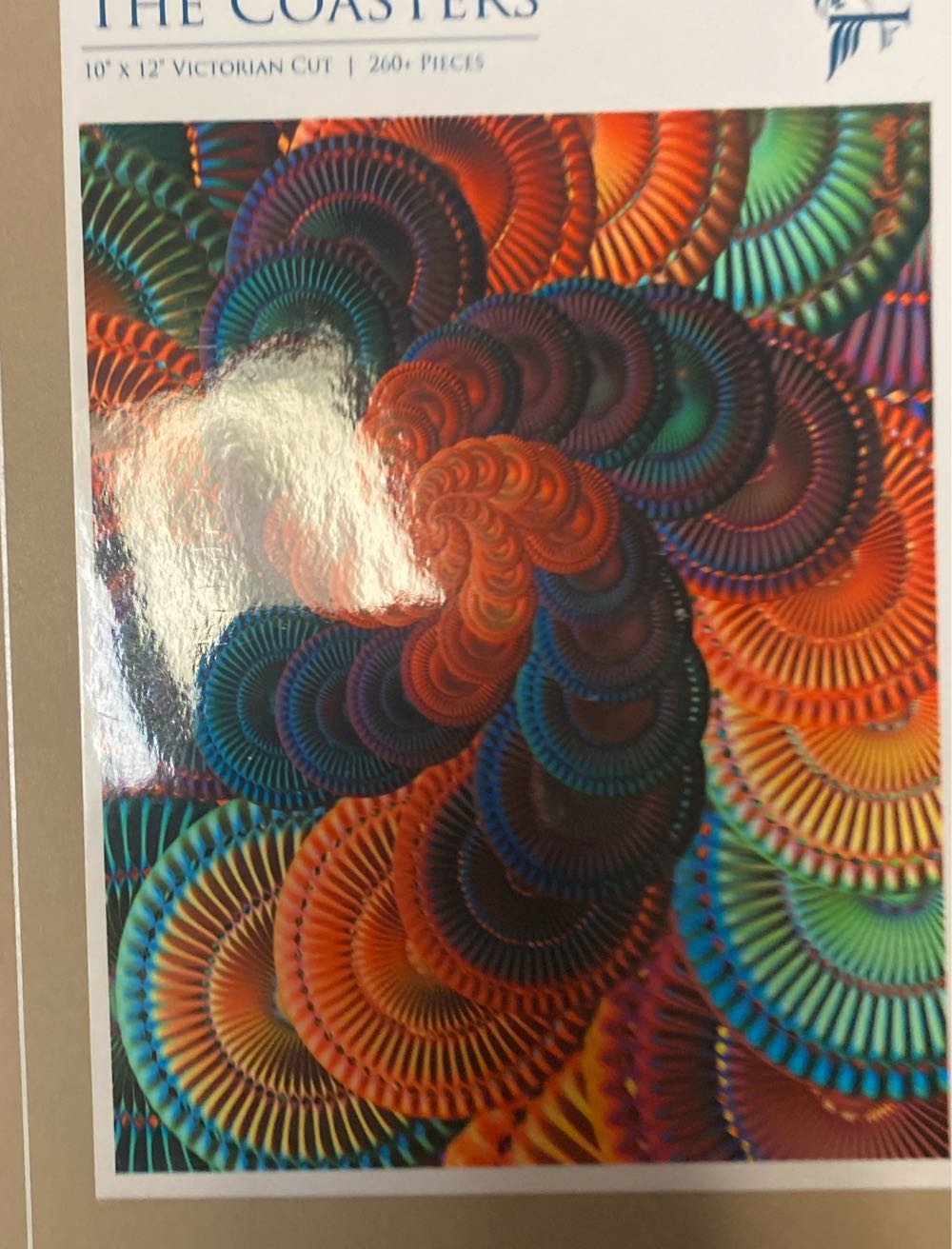 Bibliophile With Cats