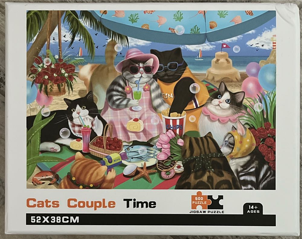 Dead Tomorrow Detective Superintendent Roy Grace 5