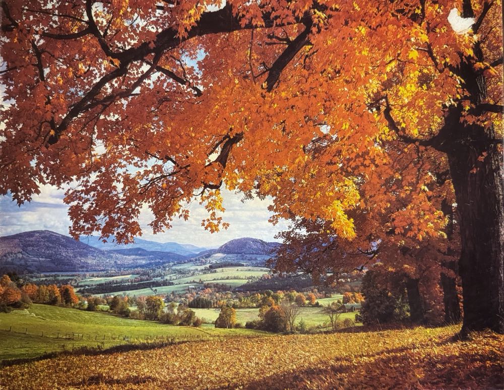 RoseArt: National Parks Box Set