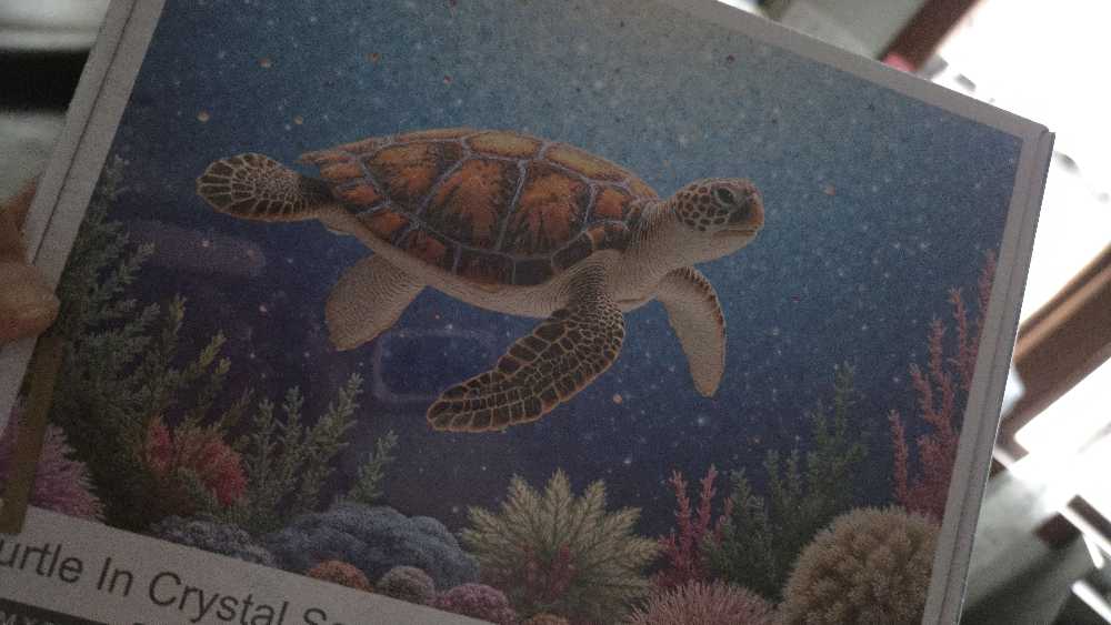 Crossing Glenfinnan Viaduct 