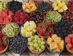 Miami Dolphins Purebred Fans