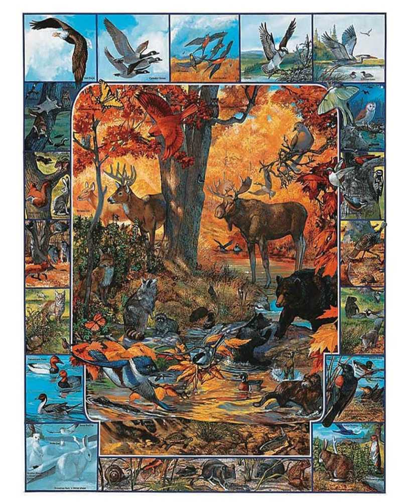 Family Series Jigsaw Puzzles