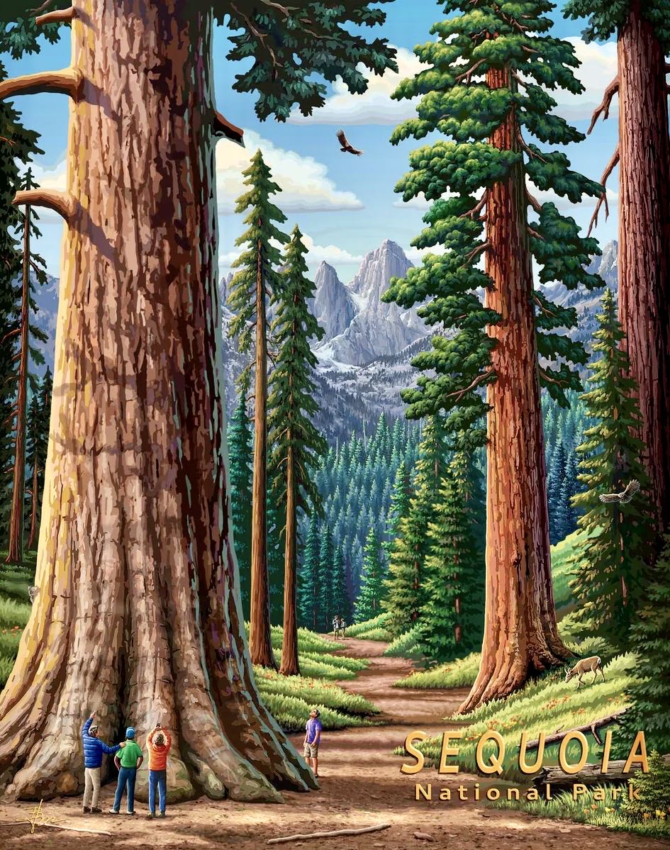 NPS : Sequoia 🆕 - Boardwalk Puzzle Company puzzle collectible [Barcode 671095906470] - Main Image 2