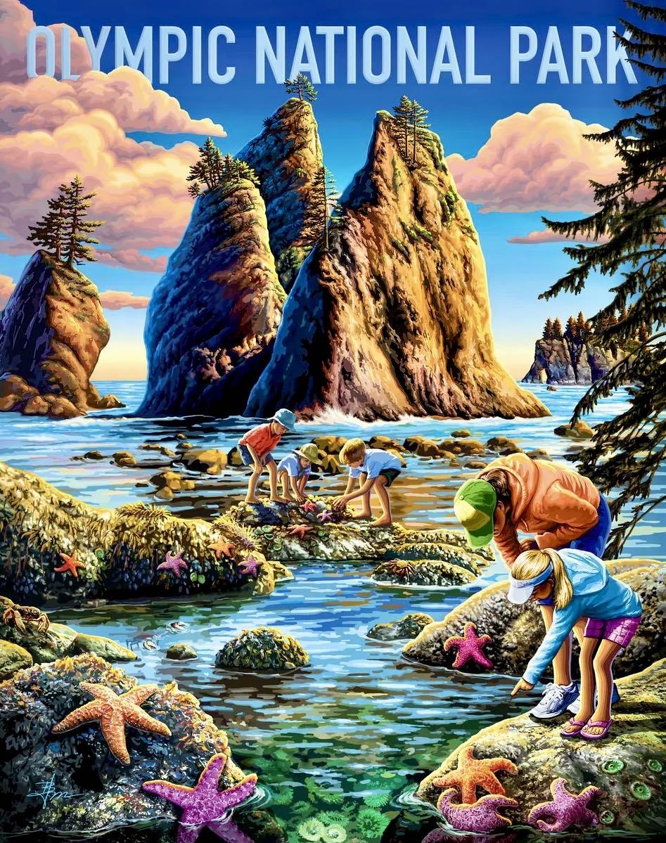 NPS : Olympic 🆕 - Boardwalk Puzzle Company puzzle collectible [Barcode 671095906340] - Main Image 2