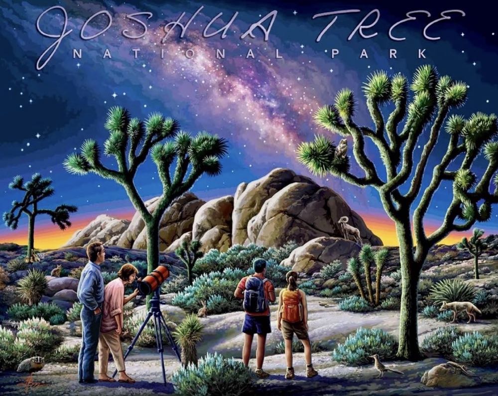 NPS : Joshua Tree 🆕 - Boardwalk Puzzle Company puzzle collectible [Barcode 671095906333] - Main Image 2