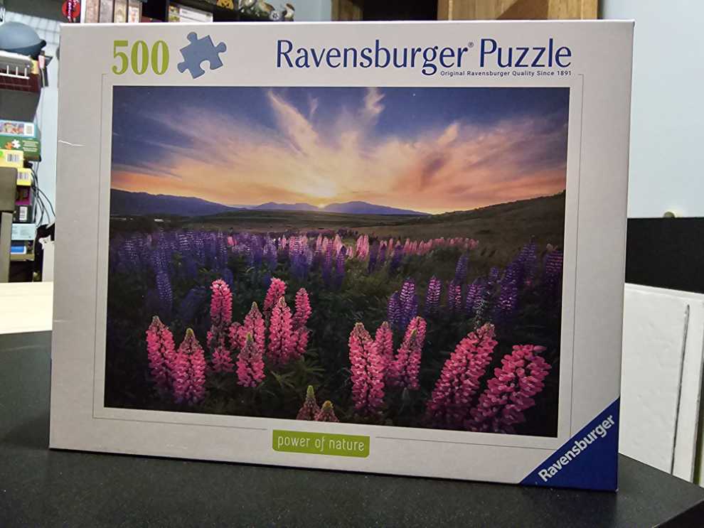 Je N’ai Encore Rien Dit Chroniques 2019