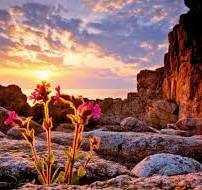 Wonder Woman 🆕🚪