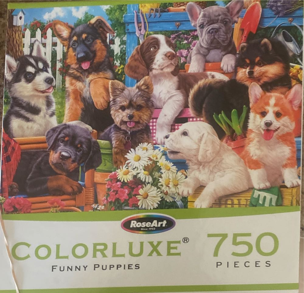 Book City by JMbeauuuty