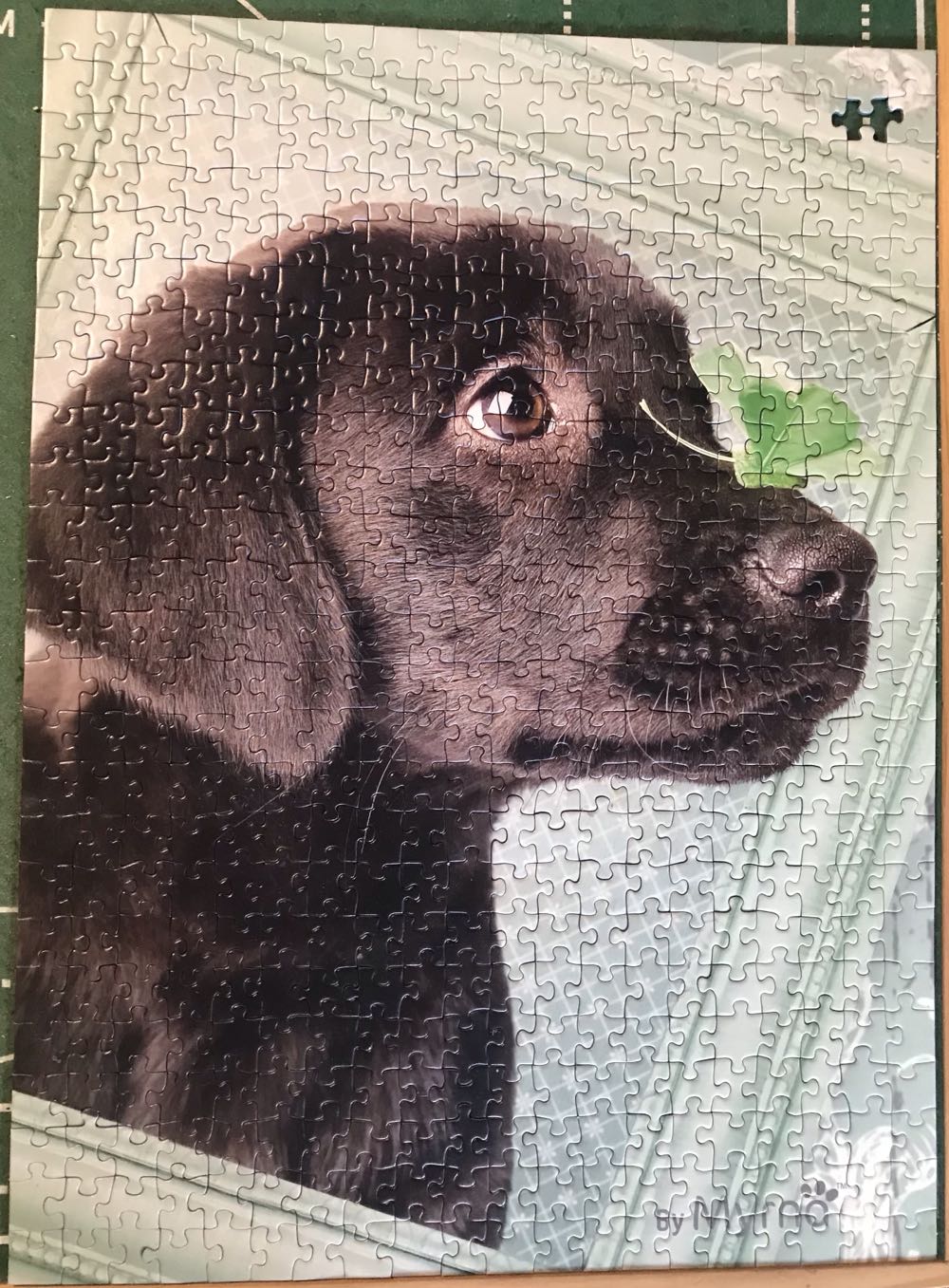 Lucky Puppy - Ravensburger puzzle collectible [Barcode 4005556141944] - Main Image 2