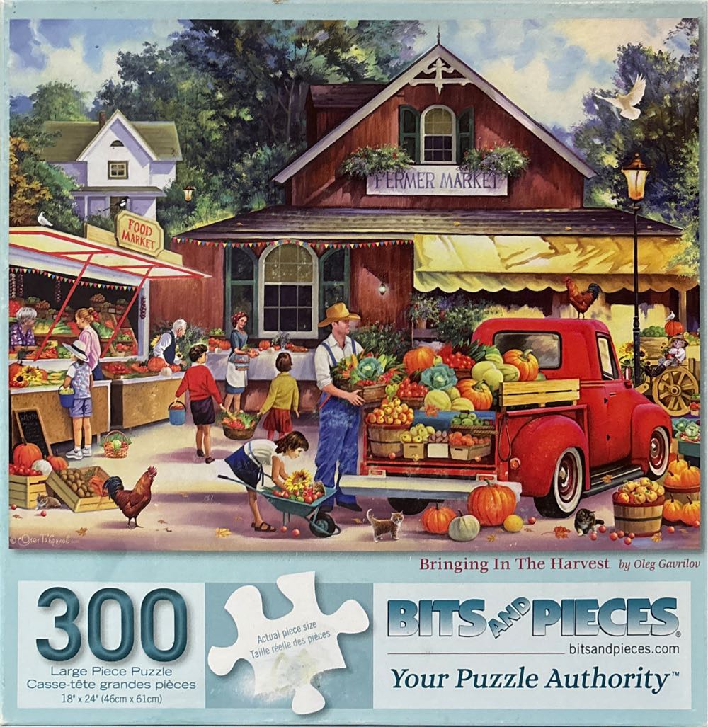 Yin & Yang In The Forest Of Hummingbirds