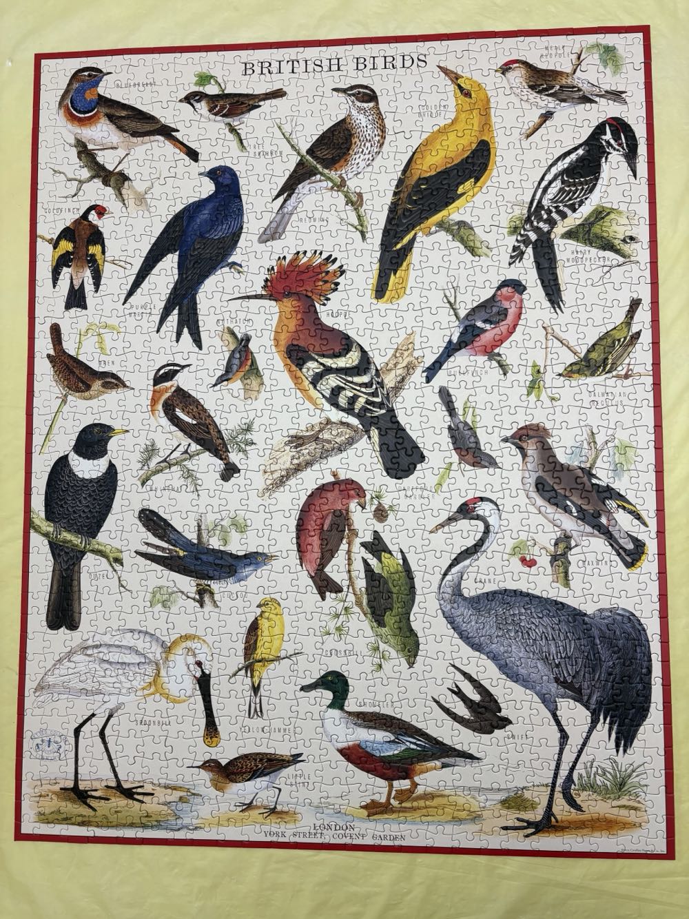 British Birds Annie H  - Cavalinni & Co puzzle collectible [Barcode 9781639473939] - Main Image 2