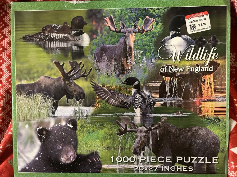 Cooking With Hello Kitty