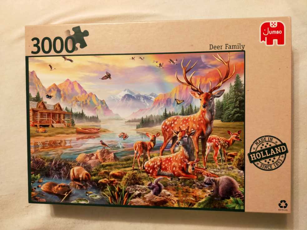 Kitten Christmas 🆕📦