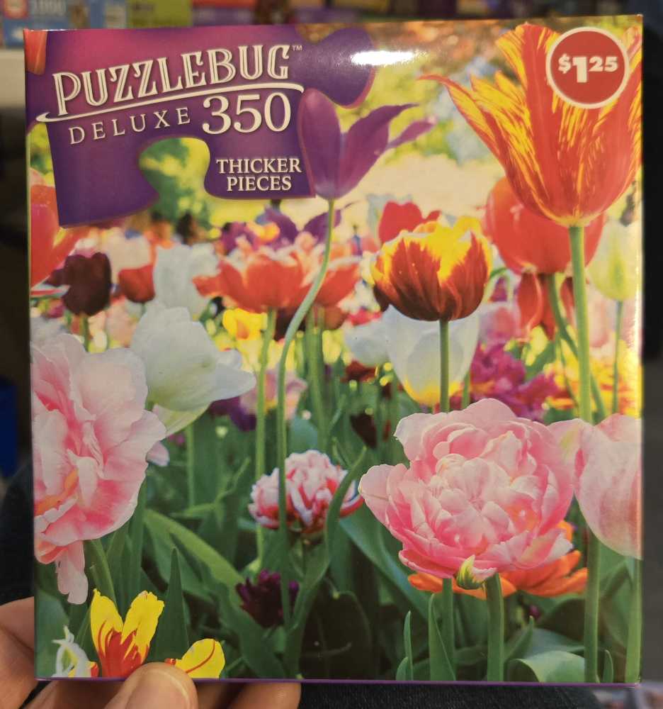 Portrait Of The Planets