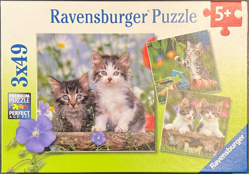 The Influencer Initiative