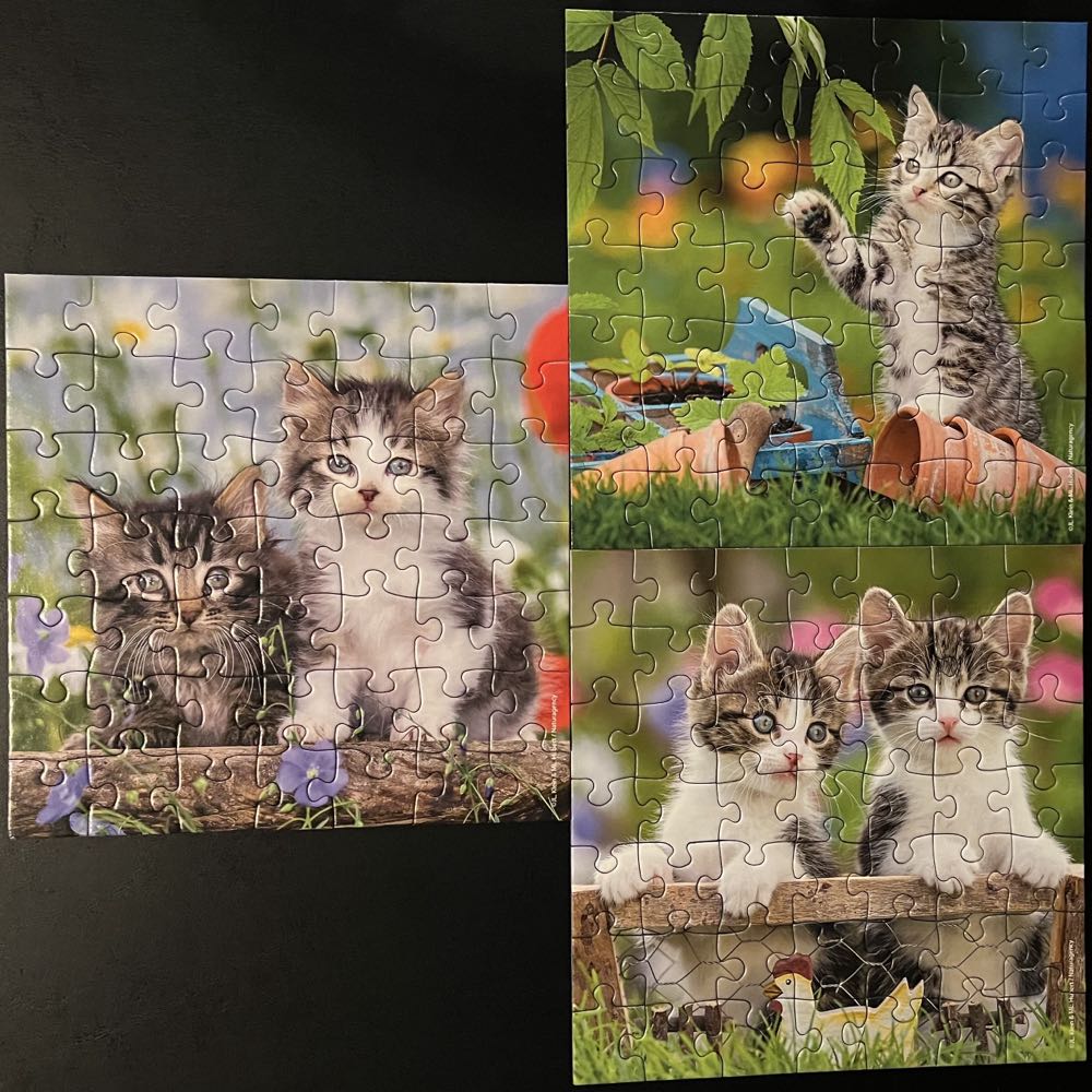 Tiger Kittens - Ravensburger puzzle collectible [Barcode 4005556080465] - Main Image 2