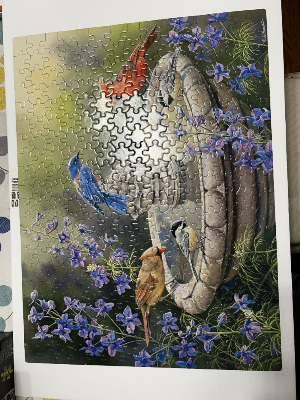 Atlantis / Dolphin Lagoon / Living Ocean