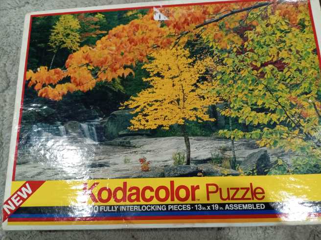 Foxes And Friends (UV) NFT