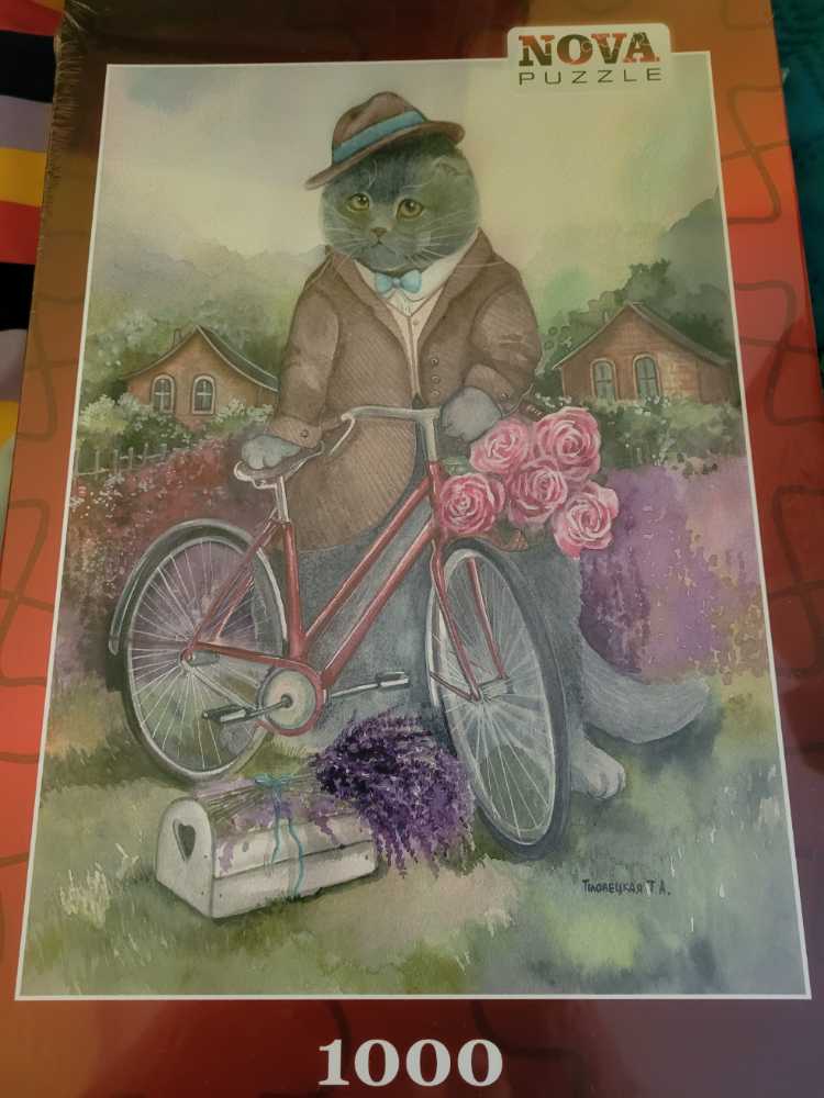 Anne Geddes  - Baby Bird