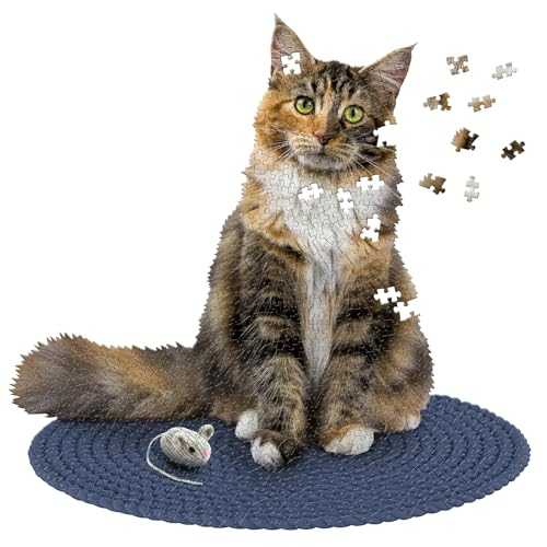 Rolife Detective Agency Diy Miniature House Detective