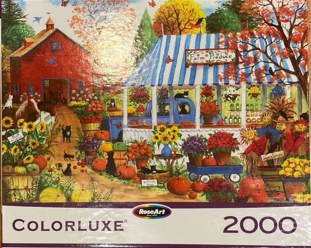 Colorful Carp And Water Lilies