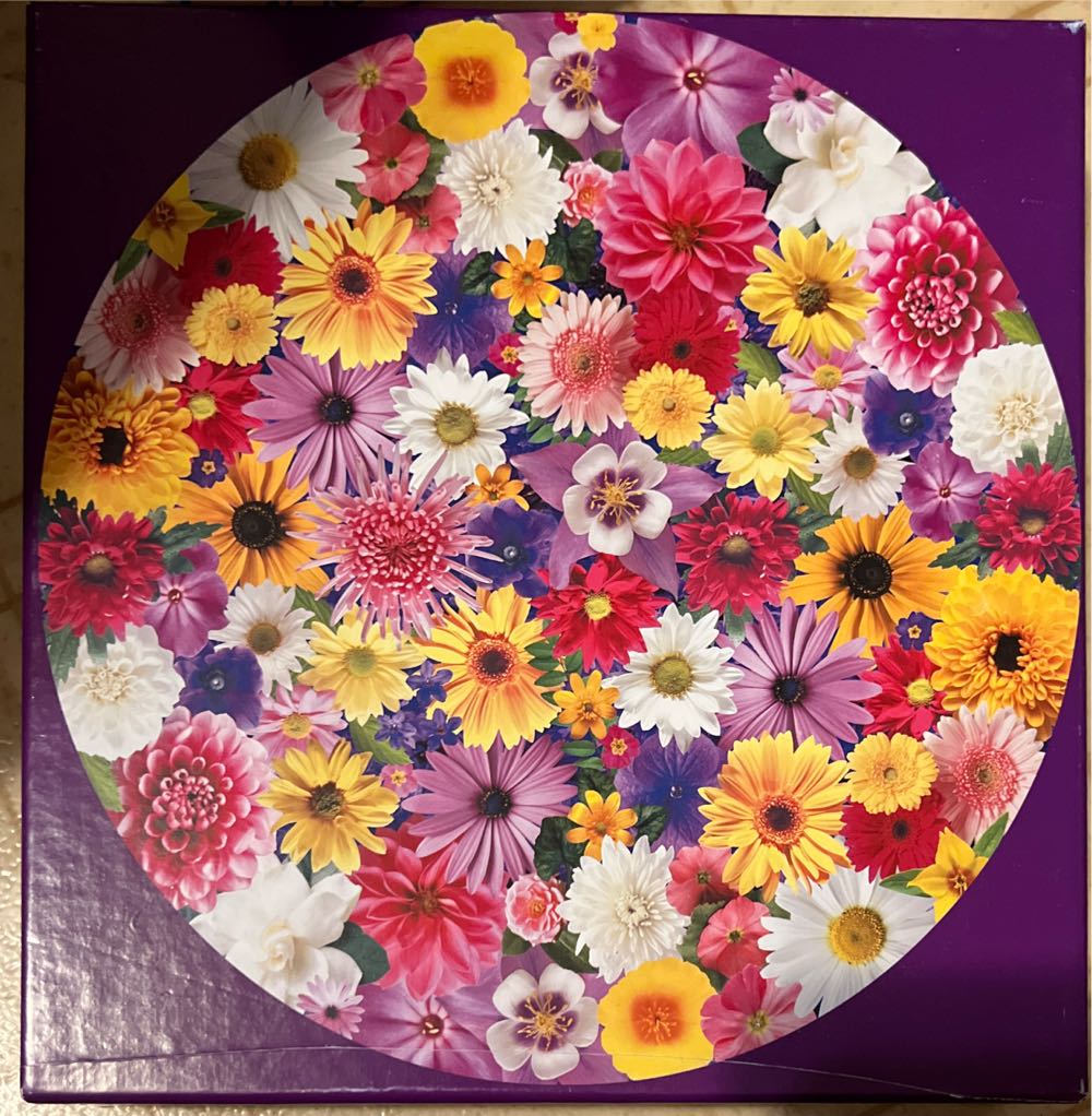 Boardwalk Puzzles Spellbook Shop Piece Jigsaw Puzzle For Adults Made In Usa