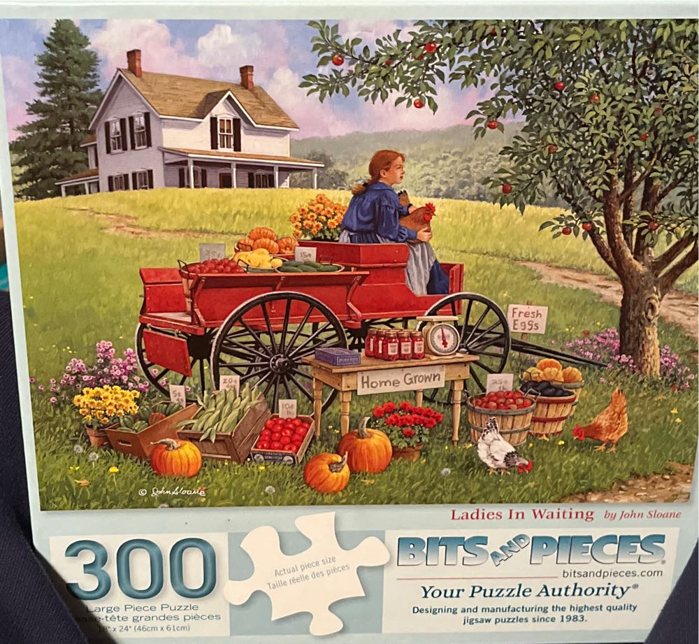 Henhouse Hideaway 500 Piece Jigsaw Puzzle In Shaped Box Springbok New