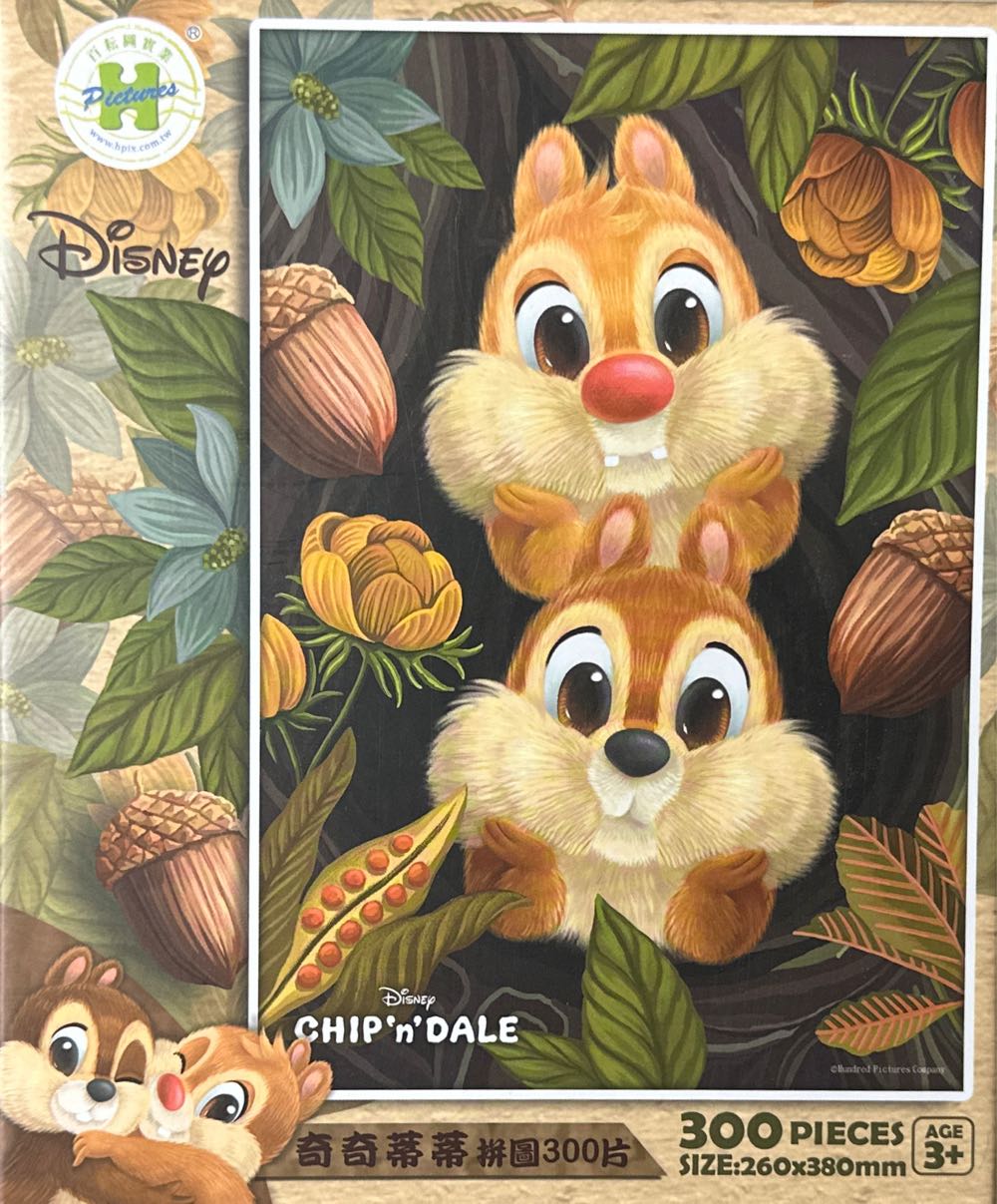 Town Square Piece Puzzle