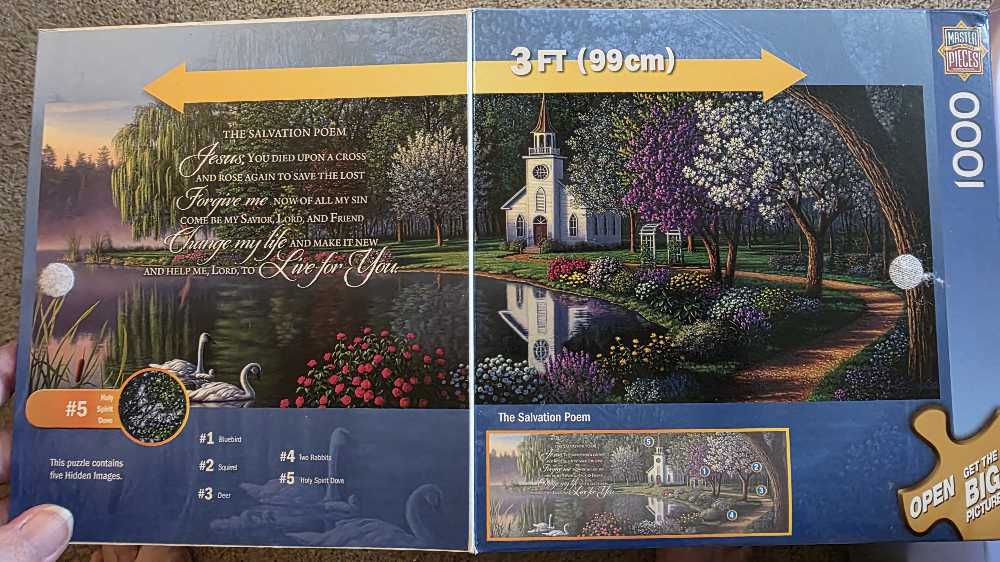 New York Company Vogue Beribboned Peacock S