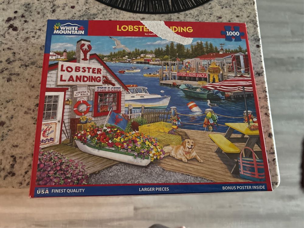 Nature’s Contrasts