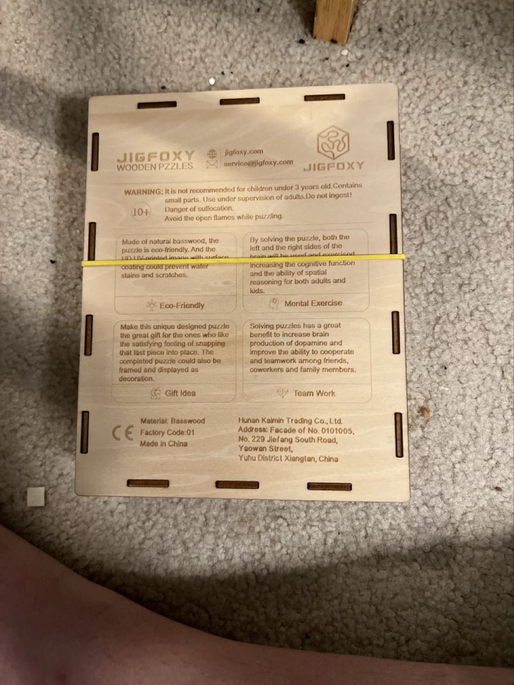 Cute Panda - JIGFOXY puzzle collectible - Main Image 2