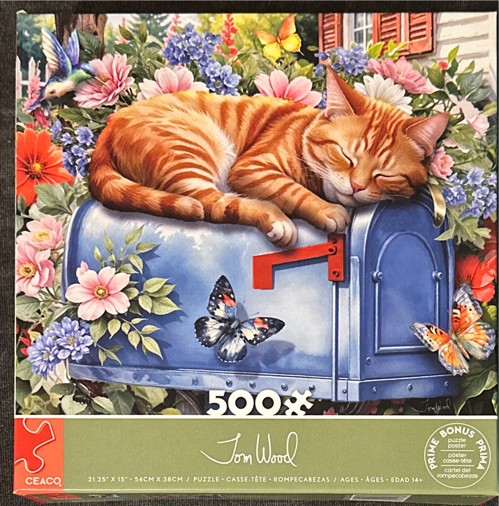 Sunset At The Arizona Line BAC 