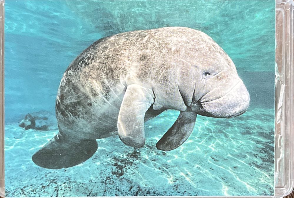 DC: The Joker’s Ball