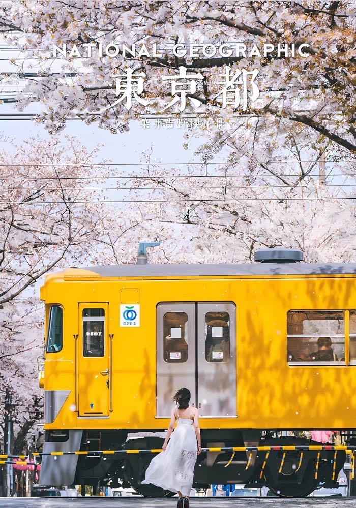 Sakura Train - Botop puzzle collectible [Barcode 9780755105124] - Main Image 2