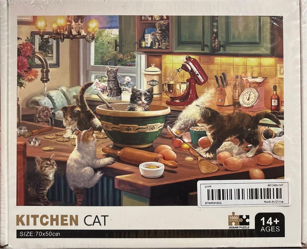 Halloween Haunted Housechallenging