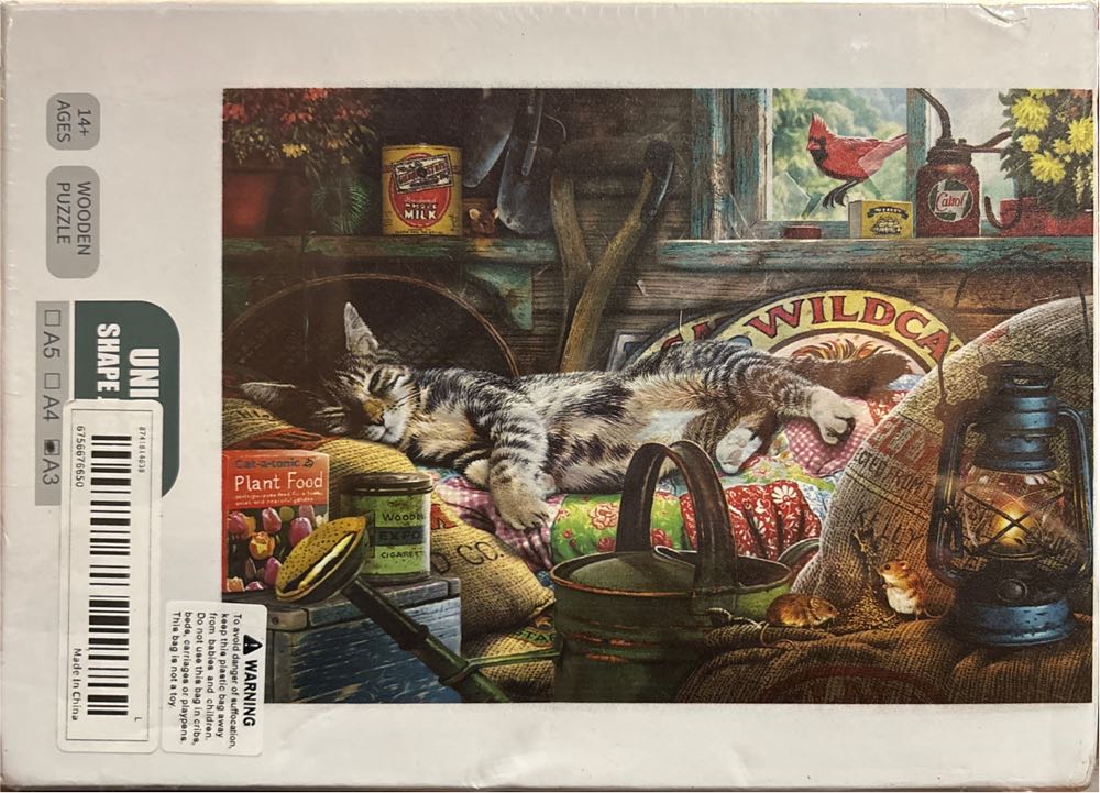 CATS - Potting Shed Kittens 💎