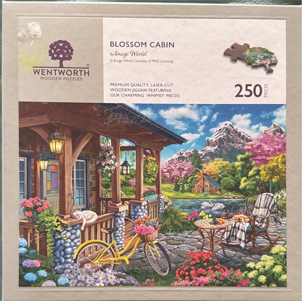 Chicago Blackhawks Panoramic