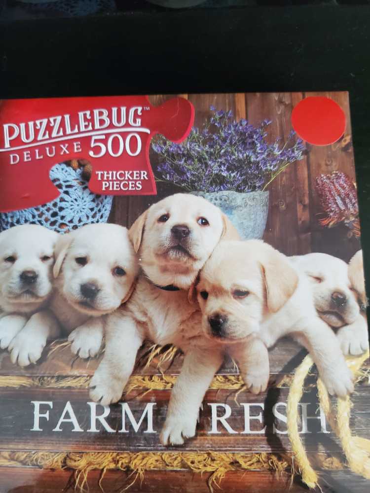 Under New Ownership 🆕