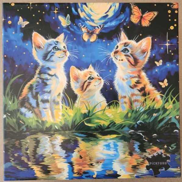 Set 3 X Gray Malin The Beachside Set By Galison X In 1 Set