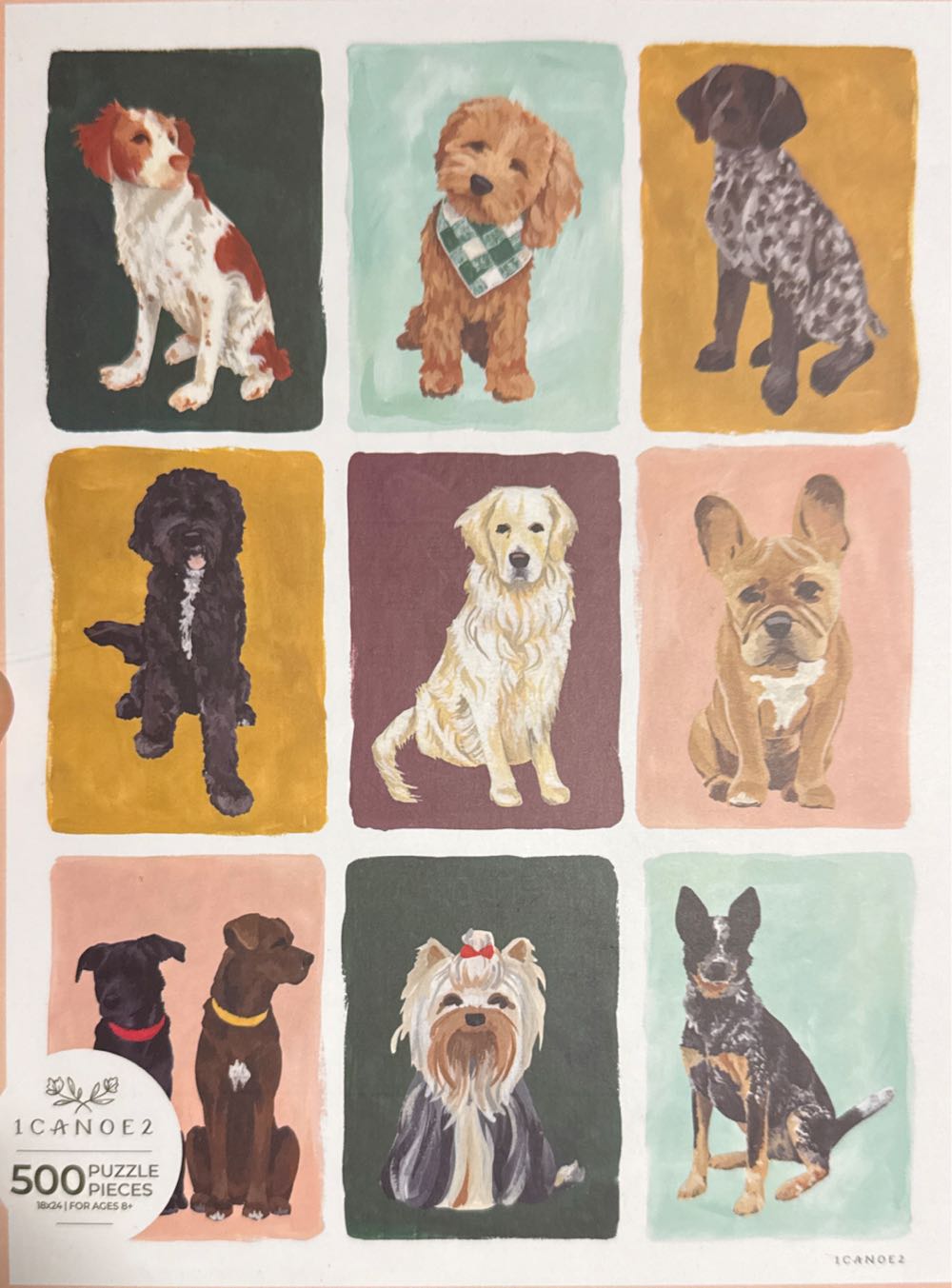 Flat Pink Grapefruit