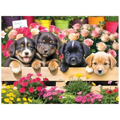 I Spy ”a Is For...” 63 Piece Jigsaw Briarpatch Jigsaw Scholastic