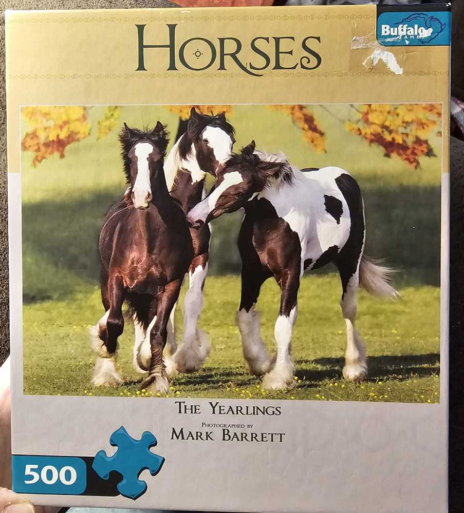 Hong Kong Puzzle Mystery: Hotpot Land