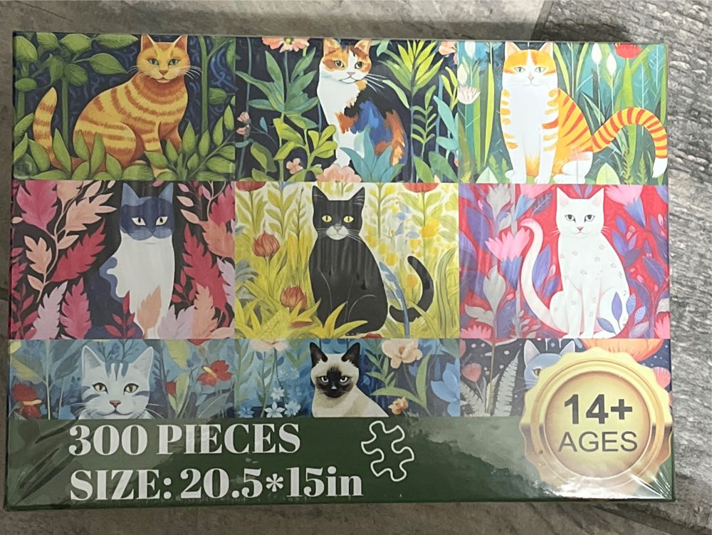 2025 Colour Study Of Squares