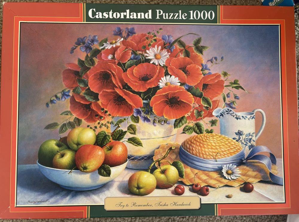 Cinderella Dancing In Starlight 