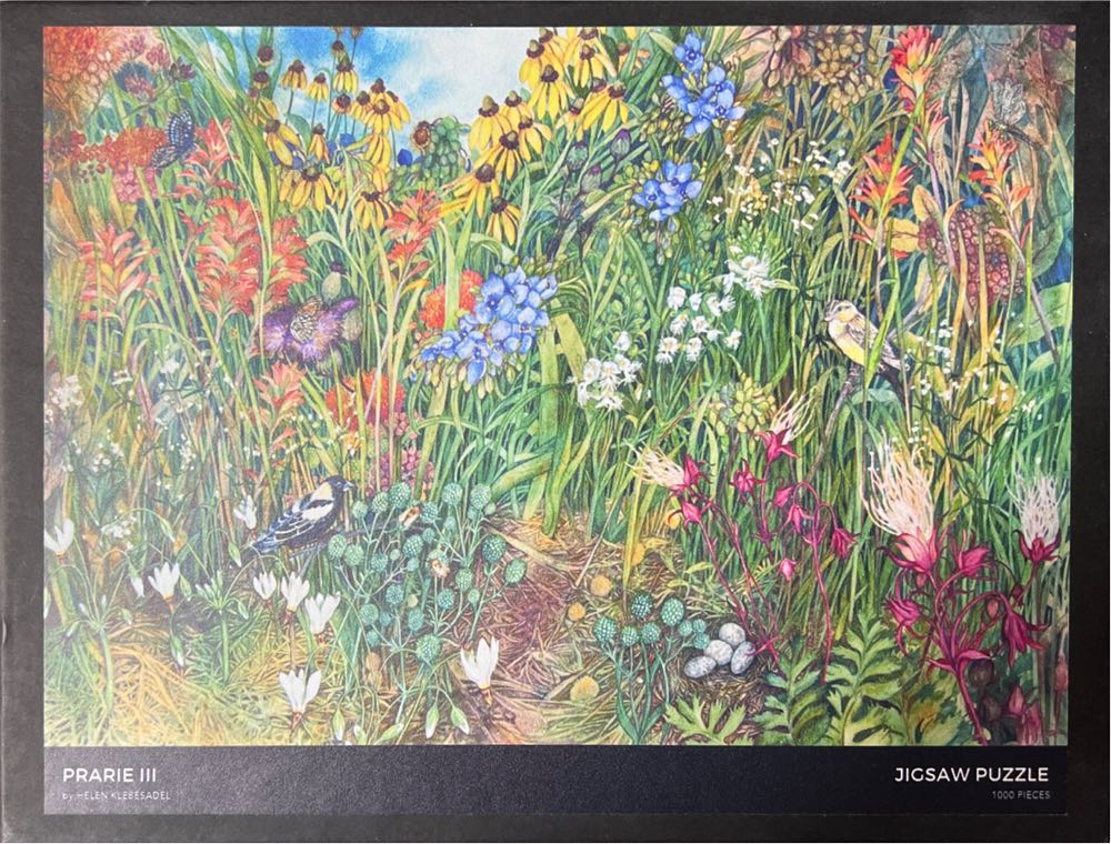 D-300-051: Pixar Toy Story