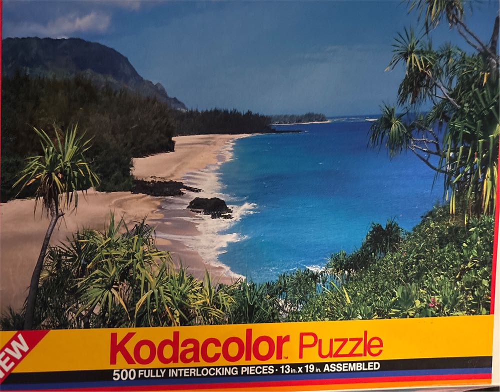 Wasgij Have Destiny 14: How Times Have