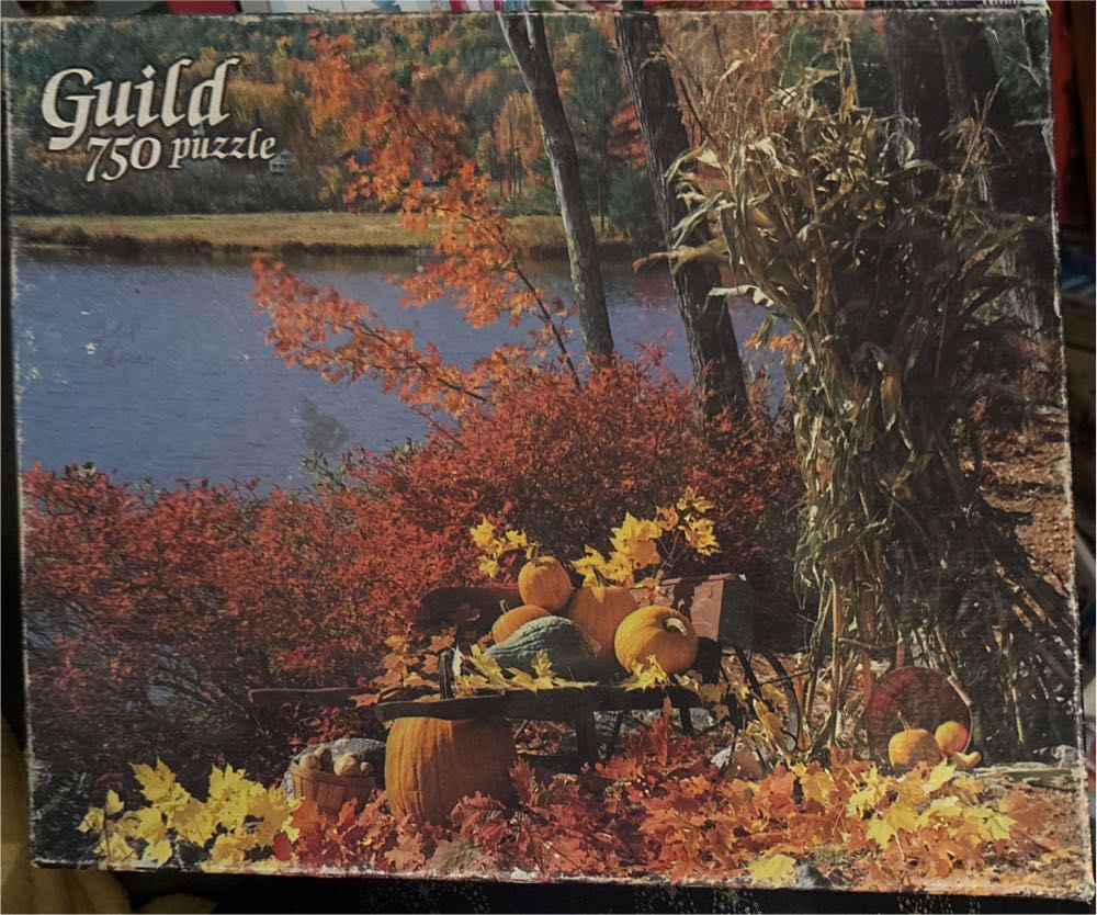 TDL-1000-807: New Dreams, More Fun